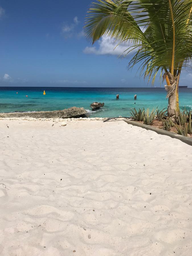 Bonaire Boutique Resort Кралендижк Екстериор снимка