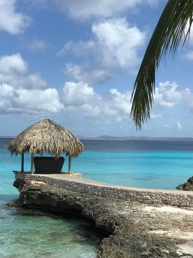 Bonaire Boutique Resort Кралендижк Екстериор снимка